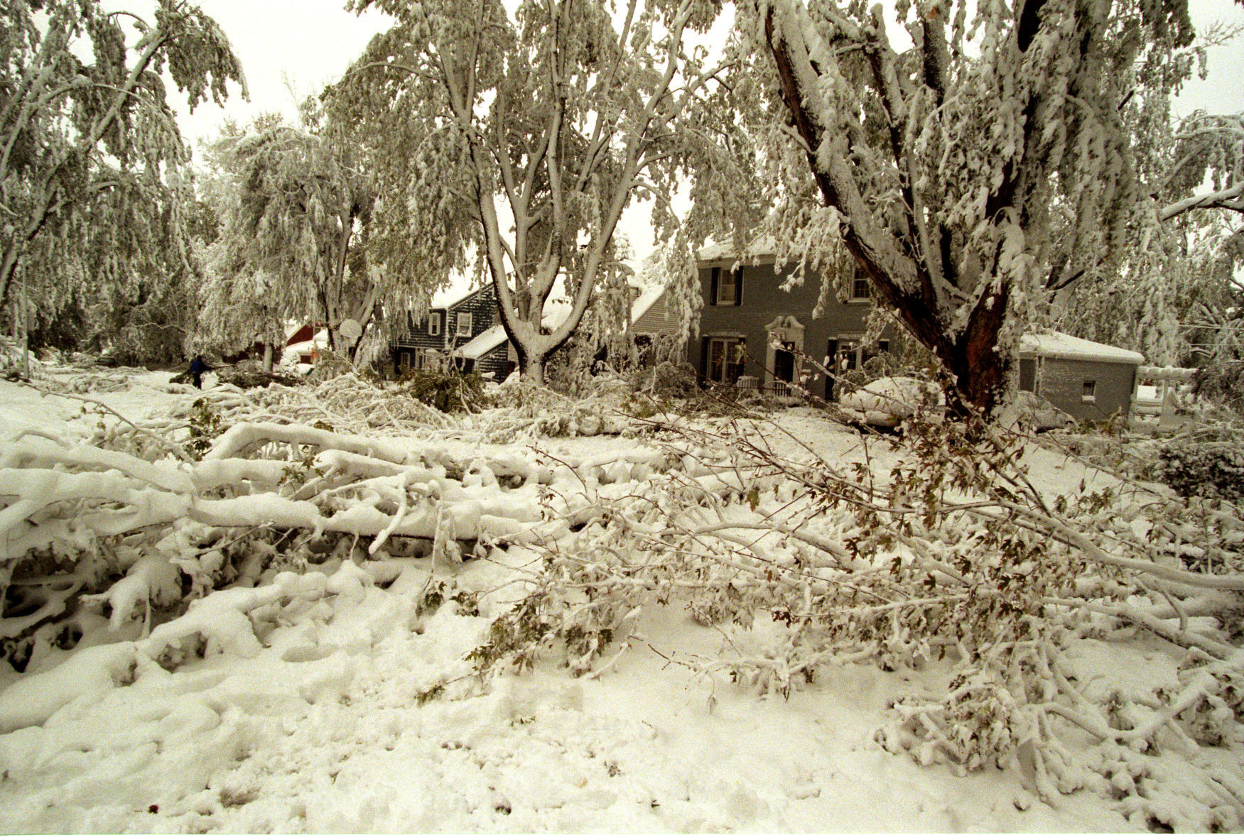 The snowstorm severed power to nearly 300,000 homes and businesses.